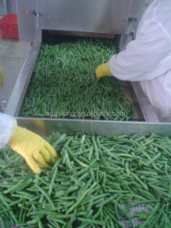 Agri-King iqf green beans