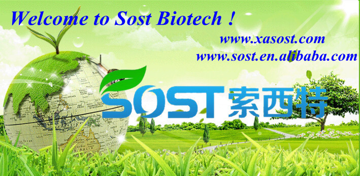 Cheap Konjac Extract Glucomannan Powder
