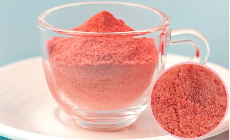 industrial egg powder maker /strawberry juice powder making