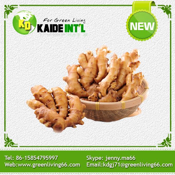 Fresh Ginger Packed In Pvc Box Carton