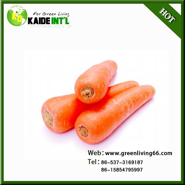 Fresh Carrots Specification For Market