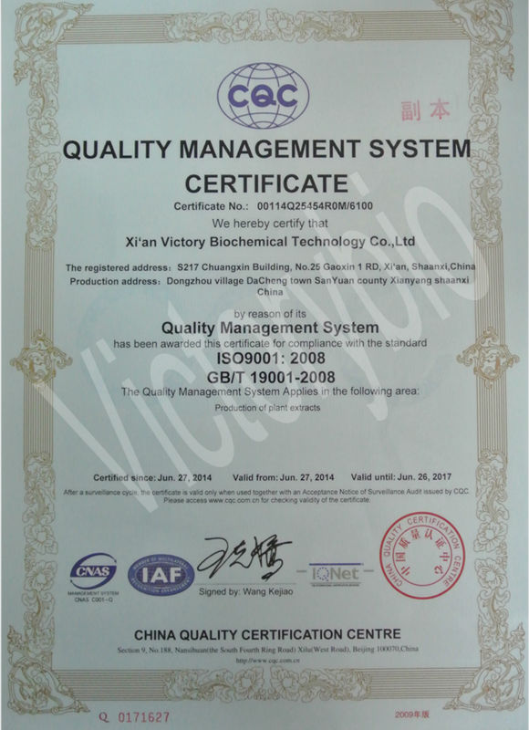 ISO certificated cocoa seed extract powder