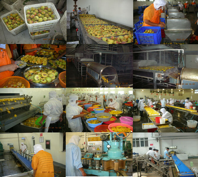 High-quality canned yellow peach in syrup
