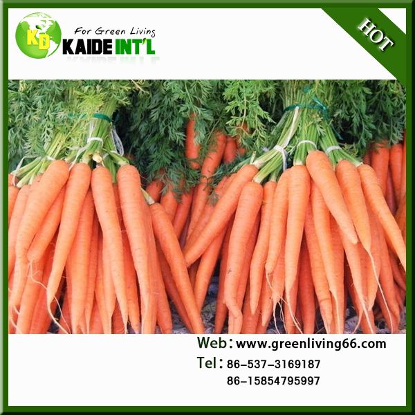 Special Organic Bulk Carrots