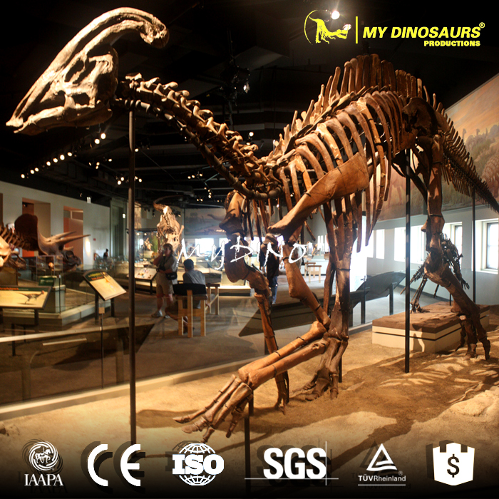 parasaurolophus 4.jpg
