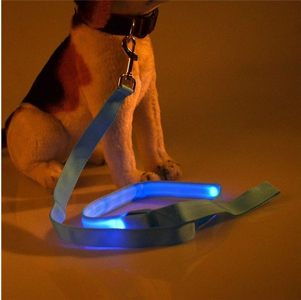 新しい安価な製品のため2014年ledペットショップ卸売犬の綱問屋・仕入れ・卸・卸売り