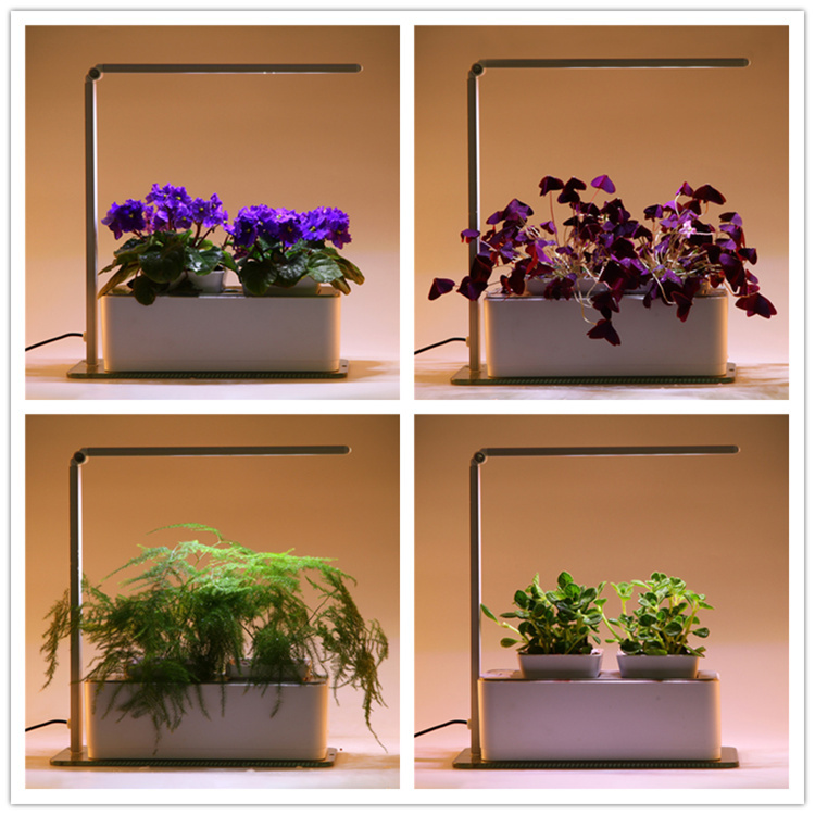 Orchids Seedlings Led Grow Light Buy Orchids Seedlings Led Grow Light