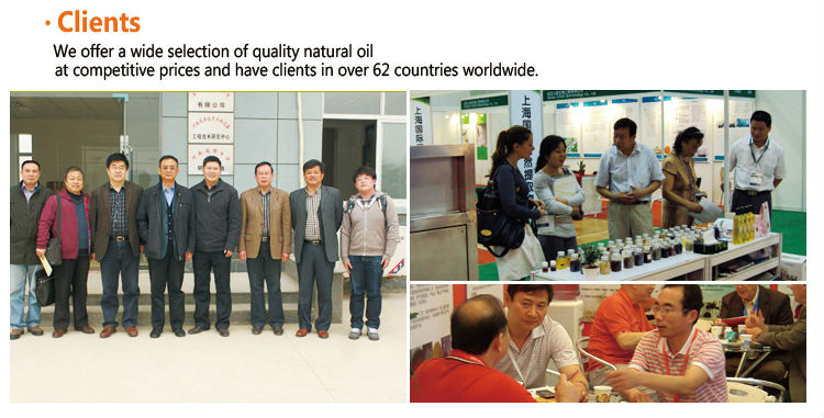 High Quality wheat germ seed oil vitamin E softgel capsules
