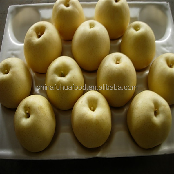Ya Pear Aisian Pear