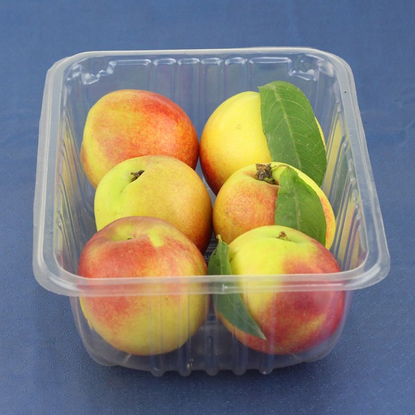 果物用使い捨てプラスチック製のデザートの容器仕入れ・メーカー・工場
