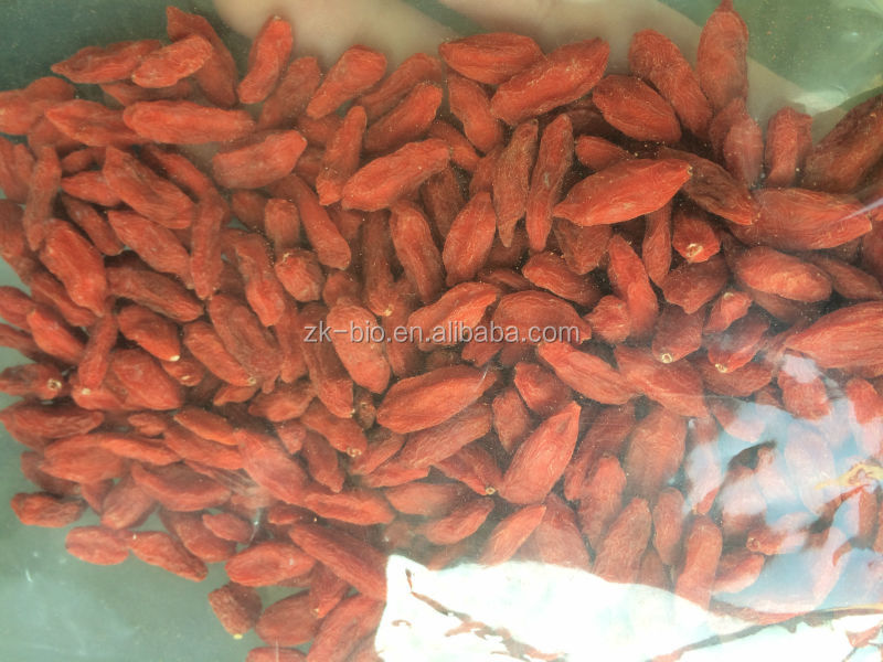 Best quality import Goji berries