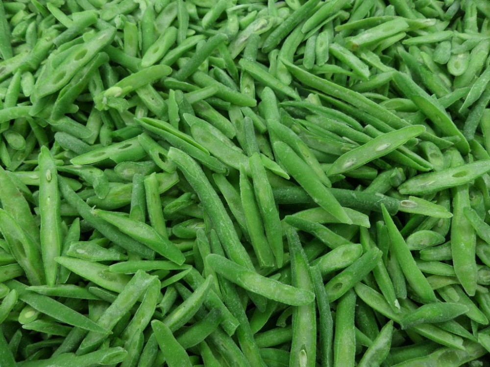 new crop frozen cut green beans