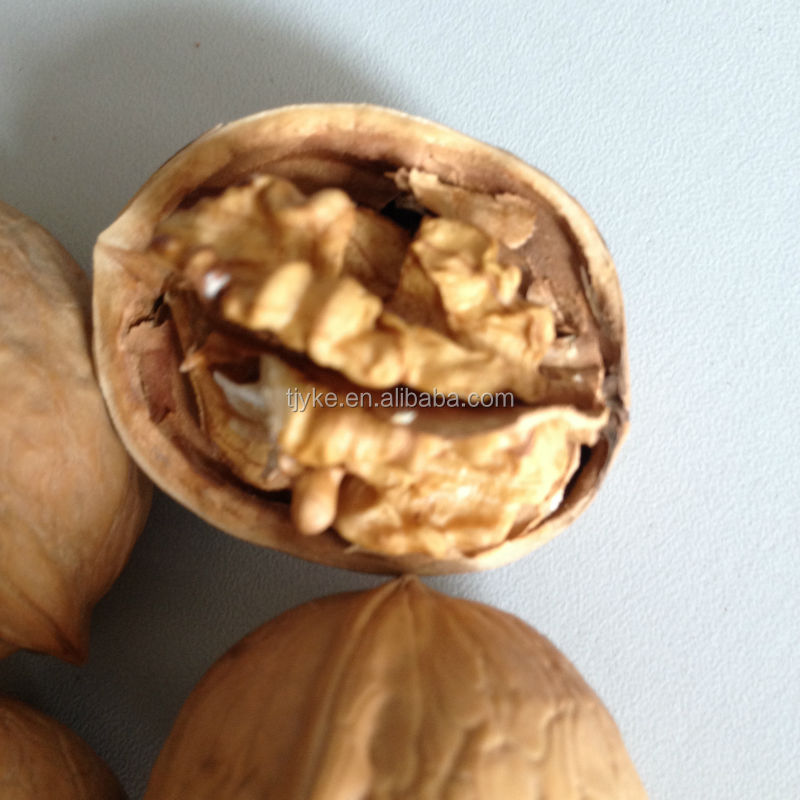 walnut kernels with good quality for sale