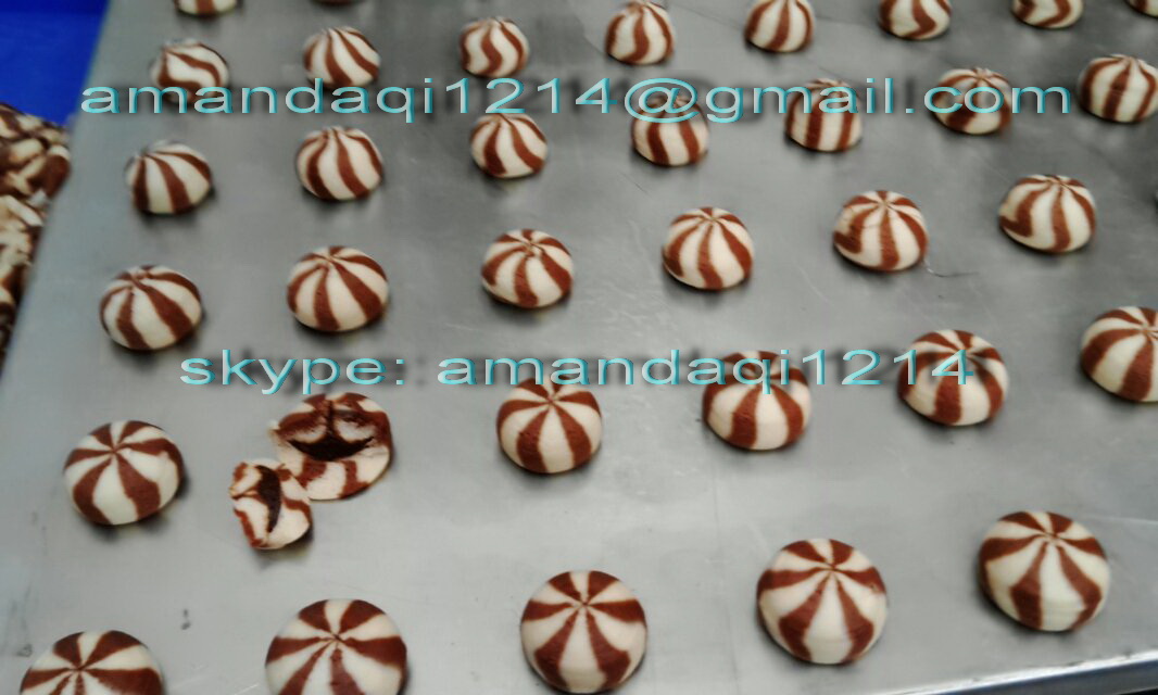 double color cookies forming and wire cutting machine