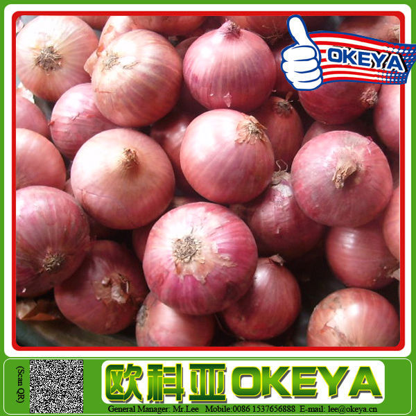 ISO9001 Certificated textured vegetable soy protein