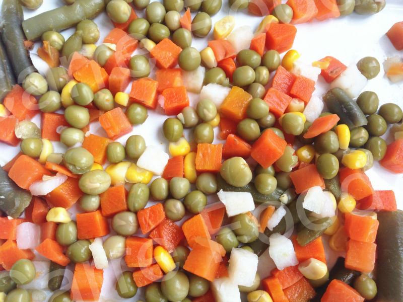 Canned mixed vegetable salad/Mixed Vegetable Canned Food in Tins/Mixed