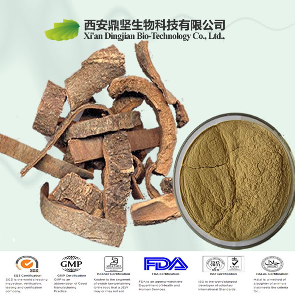 High quality cinnamon bark extract,organic cinnamon bark extract,cinnamon bark extract,cinnamon price