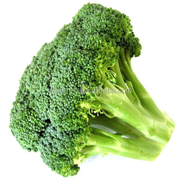 2014 new fresh reid farms broccoli for exporting A grade