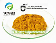 Mulberry Leaf Extract 1-Deoxynojirimycin DNJ Natural White Mulberry