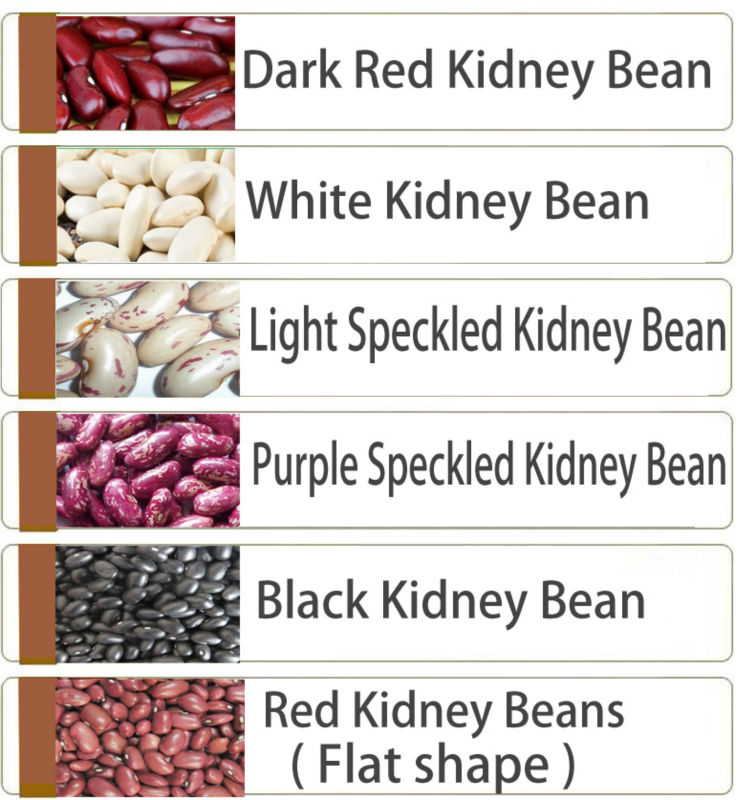 Dry high quality bulk green mung bean with a good price (Skype: live:wangqiudantt)