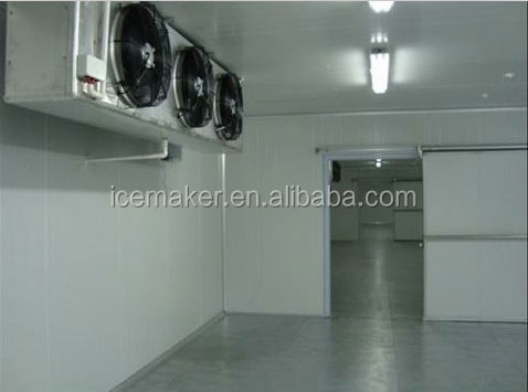 Use for Quick-freezing Vegetables Cold Storage Equipment