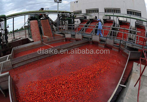 Tomato Paste in tin