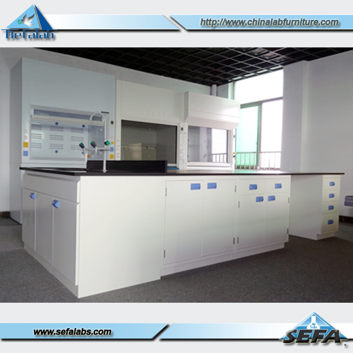 Laboratory Furniture,Lab Chemistry Fume Hood - Buy Chemistry Fume Hood ...