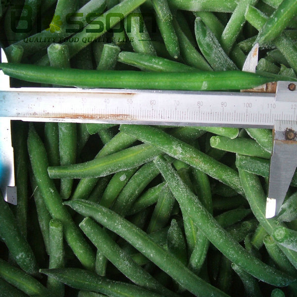 China top quality frozen green bean new crop names all fruit vegetables