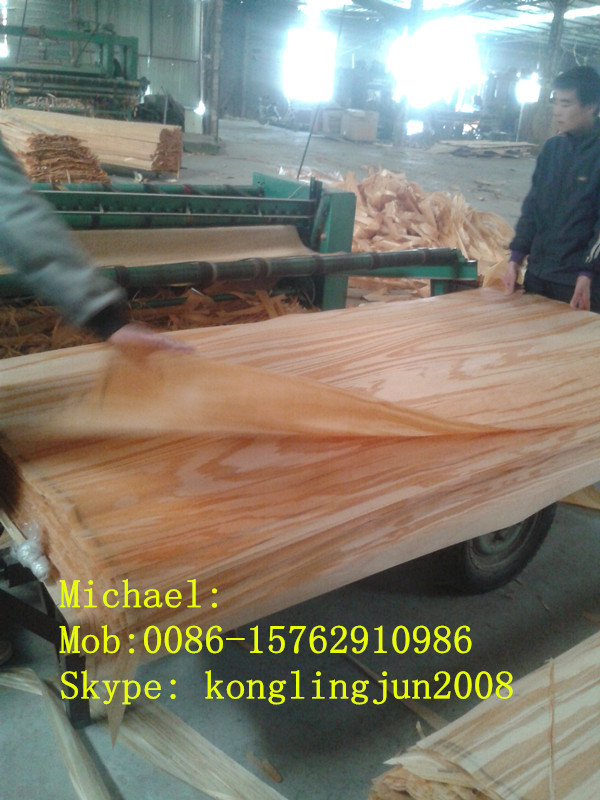 工場直接カウリ木材用単板価格カウリバイヤー自然ベニヤ問屋・仕入れ・卸・卸売り