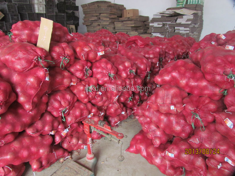 fresh onion 2014 red onion lowest price