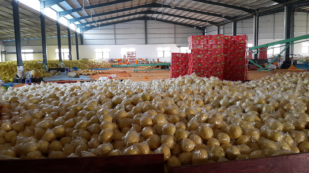 2014 fresh honey pomelo