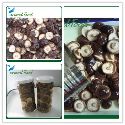 400g China organic shiitake mushrooms in can