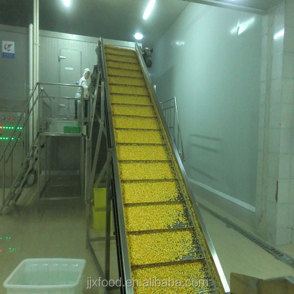 2014 IQF Cauliflower in Frozen vegetables