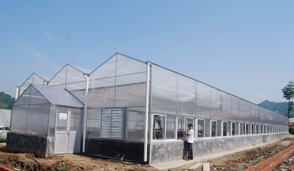 Cheap Greenhouse Project Low Cost tunnel greenhouse reinforced plastic greenhouse project cost Cheap Greenhouse Project Low Cost tunnel greenhouse reinforced plastic greenhouse project cost