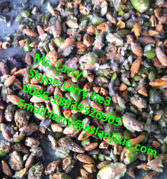 olive crushing pitting machine14.jpg