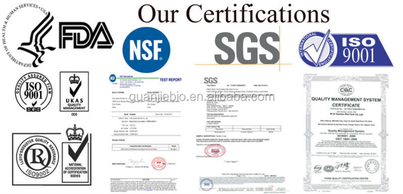GMP Natural 20% HPLC Cocoa Extract Powder