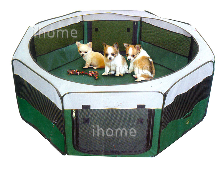 cat-dog-tent(8)