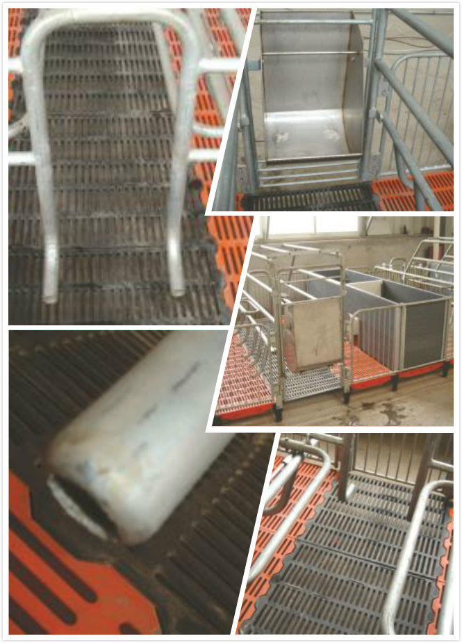 farrowing stall.jpg