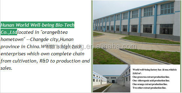 Theobromine10-20% Cocoa Bean Extract Powder/Cocoa Bean Extract/Cocoa Bean Powder