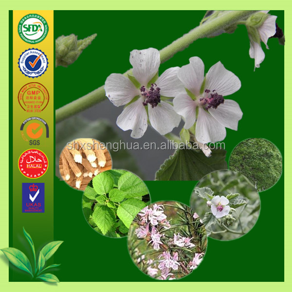 BV certificate factory Common Marshmallow Herb