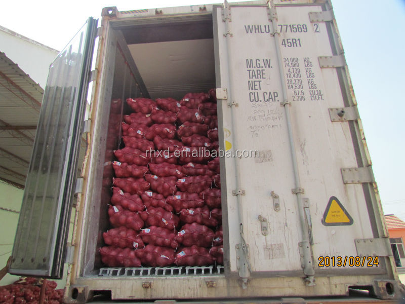 2014 new crop onion seeds for sale