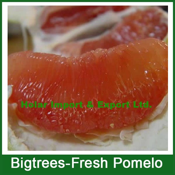 2014 fresh fruit, fresh honey pomelo for sale