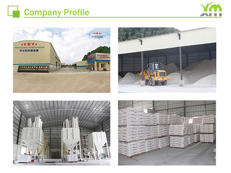 Company Profile factory picture.jpg