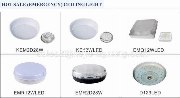 LED emergency ceiling light emergency lamp.jpg