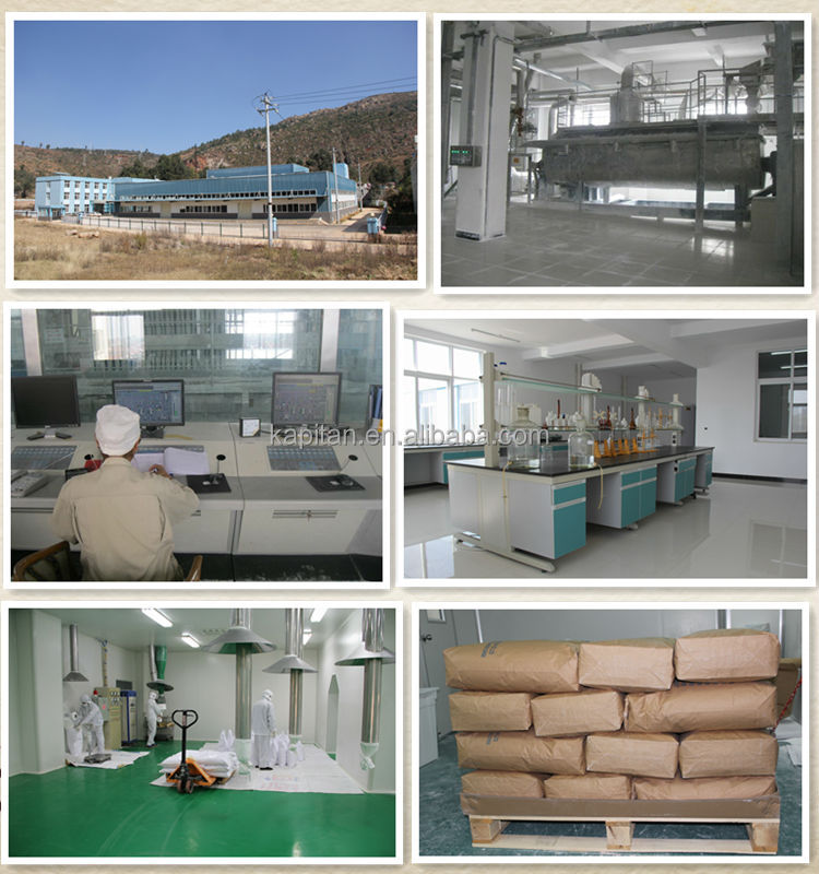 Sapp Sodium Acid Pyrophosphate Food Grade E450i