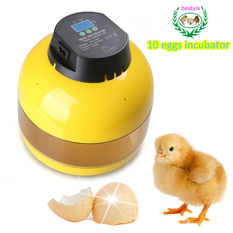 Hot sale !!! JN10 Mini chicken egg incubator for poultry india