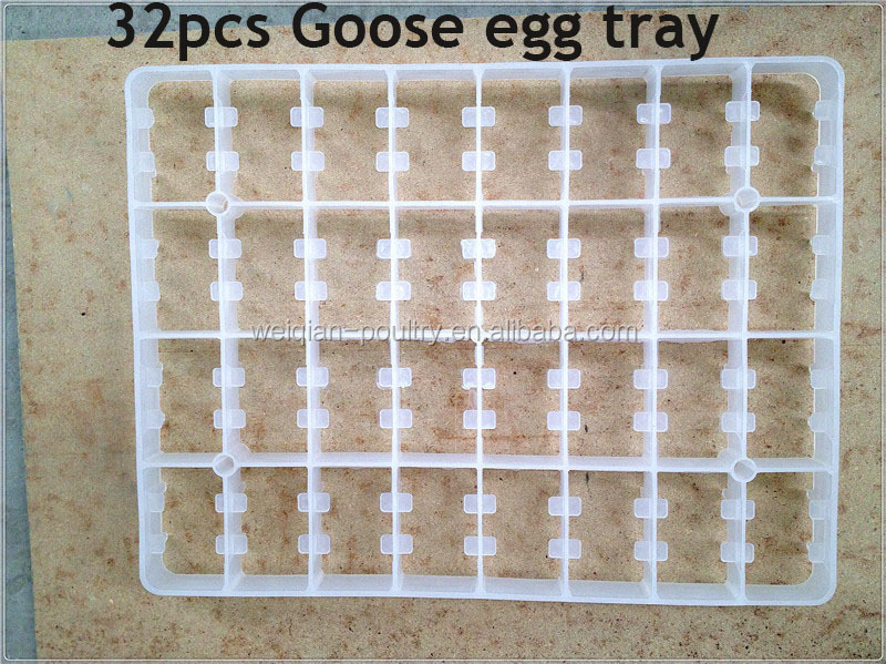 goose egg tray.jpg