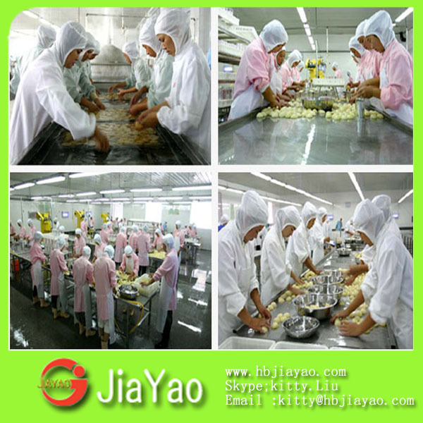 high quality and cheap canned food price list