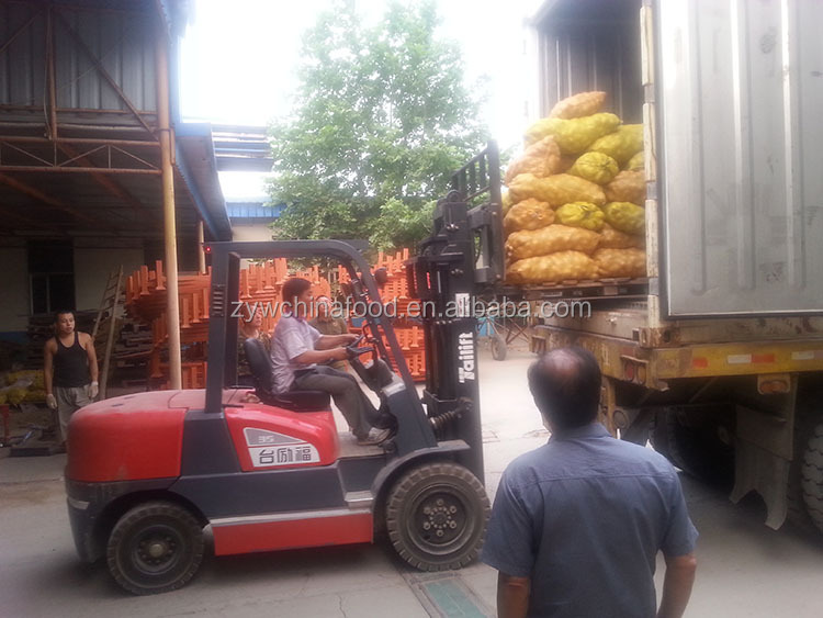 Chinese Fresh Potato / Sweet Potato / Holland Potato Exporter