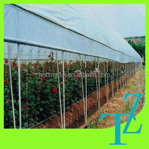 greenhouse double poly film,greenhouse film clip,film greenhouse greenhouse double plastic greenhouse double poly film,greenhouse film clip,film greenhouse greenhouse double plastic
